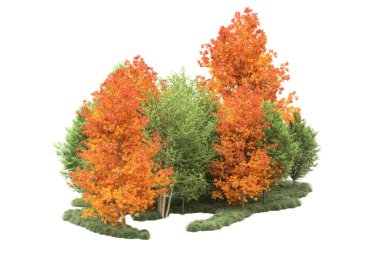 Orman ıssız. Görüntü pankartlar, posterler ya da fotoğraf manipülasyonları için kullanışlı. 3d görüntüleme - illüstrasyon