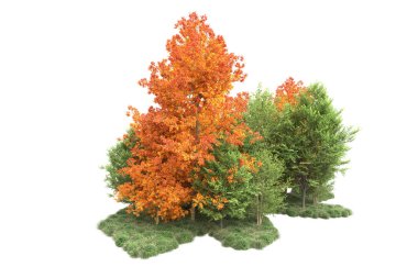 Orman ıssız. Görüntü pankartlar, posterler ya da fotoğraf manipülasyonları için kullanışlı. 3d görüntüleme - illüstrasyon