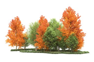 Orman ıssız. Görüntü pankartlar, posterler ya da fotoğraf manipülasyonları için kullanışlı. 3d görüntüleme - illüstrasyon