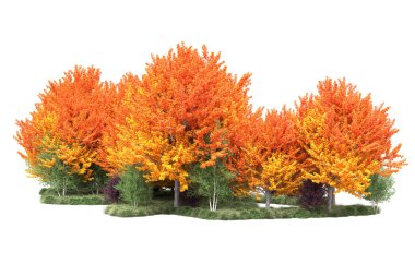 Orman ıssız. Görüntü pankartlar, posterler ya da fotoğraf manipülasyonları için kullanışlı. 3d görüntüleme - illüstrasyon