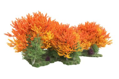 Orman ıssız. Görüntü pankartlar, posterler ya da fotoğraf manipülasyonları için kullanışlı. 3d görüntüleme - illüstrasyon