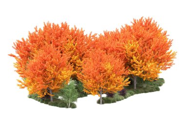 Orman ıssız. Görüntü pankartlar, posterler ya da fotoğraf manipülasyonları için kullanışlı. 3d görüntüleme - illüstrasyon