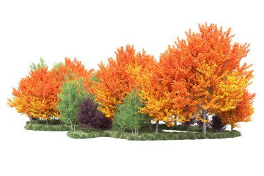 Orman ıssız. Görüntü pankartlar, posterler ya da fotoğraf manipülasyonları için kullanışlı. 3d görüntüleme - illüstrasyon