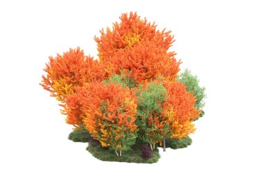 Orman ıssız. Görüntü pankartlar, posterler ya da fotoğraf manipülasyonları için kullanışlı. 3d görüntüleme - illüstrasyon