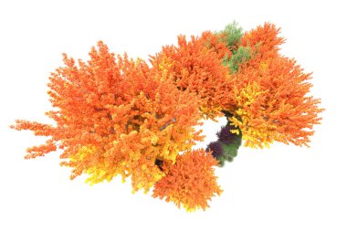 Orman ıssız. Görüntü pankartlar, posterler ya da fotoğraf manipülasyonları için kullanışlı. 3d görüntüleme - illüstrasyon