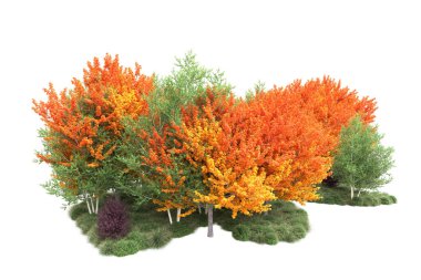 Orman ıssız. Görüntü pankartlar, posterler ya da fotoğraf manipülasyonları için kullanışlı. 3d görüntüleme - illüstrasyon