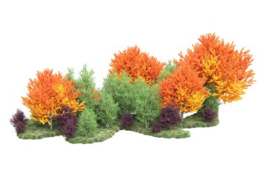 Orman ıssız. Görüntü pankartlar, posterler ya da fotoğraf manipülasyonları için kullanışlı. 3d görüntüleme - illüstrasyon