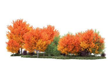 Orman ıssız. Görüntü pankartlar, posterler ya da fotoğraf manipülasyonları için kullanışlı. 3d görüntüleme - illüstrasyon