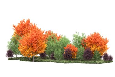 Orman ıssız. Görüntü pankartlar, posterler ya da fotoğraf manipülasyonları için kullanışlı. 3d görüntüleme - illüstrasyon