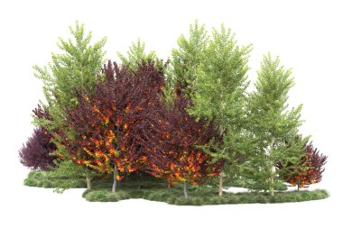 Orman ıssız. Görüntü pankartlar, posterler ya da fotoğraf manipülasyonları için kullanışlı. 3d görüntüleme - illüstrasyon