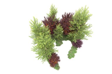 Orman ıssız. Görüntü pankartlar, posterler ya da fotoğraf manipülasyonları için kullanışlı. 3d görüntüleme - illüstrasyon