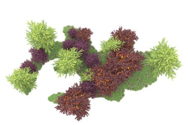 Orman ıssız. Görüntü pankartlar, posterler ya da fotoğraf manipülasyonları için kullanışlı. 3d görüntüleme - illüstrasyon
