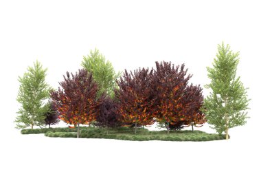 Orman ıssız. Görüntü pankartlar, posterler ya da fotoğraf manipülasyonları için kullanışlı. 3d görüntüleme - illüstrasyon