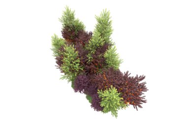 Orman ıssız. Görüntü pankartlar, posterler ya da fotoğraf manipülasyonları için kullanışlı. 3d görüntüleme - illüstrasyon