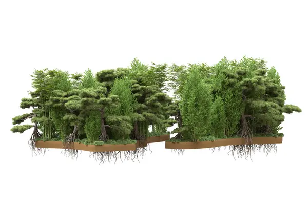 Island Trees Isolated White Background Rendering Illustration — Stock Photo, Image