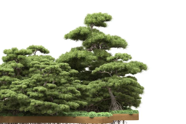 Island Trees Isolated White Background Rendering Illustration — Stock Photo, Image