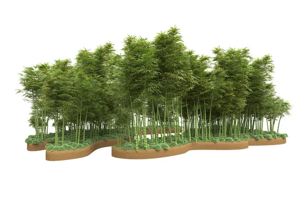 Ilha Com Árvores Isoladas Sobre Fundo Branco Renderização Ilustração — Fotografia de Stock