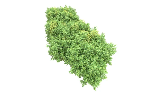 Beyaz arka planda ağaçlar olan bir ada. 3d görüntüleme - illüstrasyon