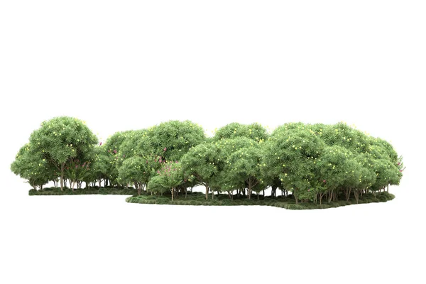 Insel Mit Bäumen Isoliert Auf Weißem Hintergrund Darstellung Illustration — Stockfoto