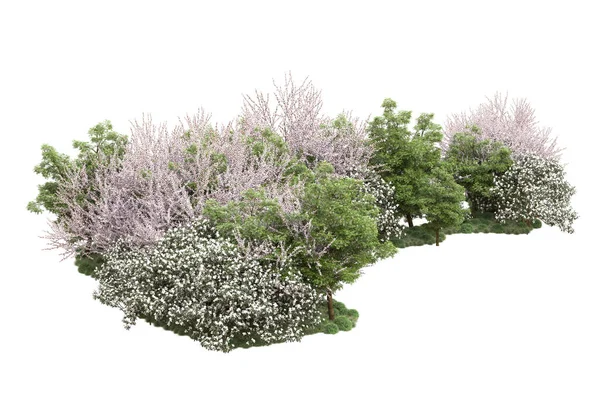 Ostrov Stromy Izolovanými Bílém Pozadí Vykreslování Ilustrace — Stock fotografie