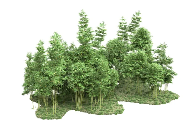 白い背景に孤立した木々を持つ島 3Dレンダリング イラスト — ストック写真