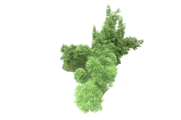岛屿上的树木被白色背景隔离 3D渲染 — 图库照片