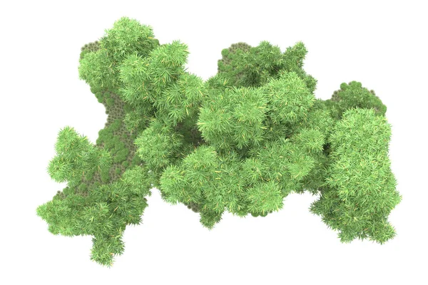 Ostrov Stromy Izolovanými Bílém Pozadí Vykreslování Ilustrace — Stock fotografie