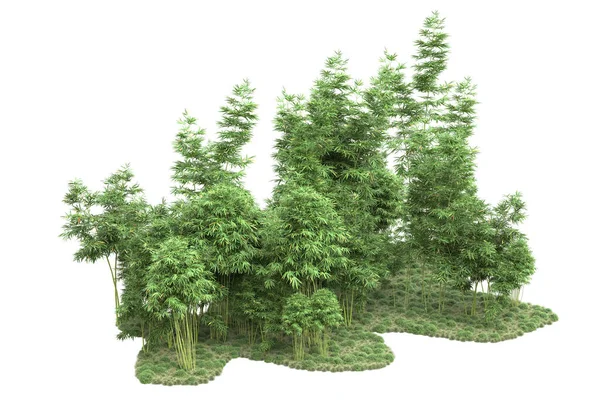 Beyaz Arka Planda Ağaçlar Olan Bir Ada Görüntüleme Illüstrasyon — Stok fotoğraf
