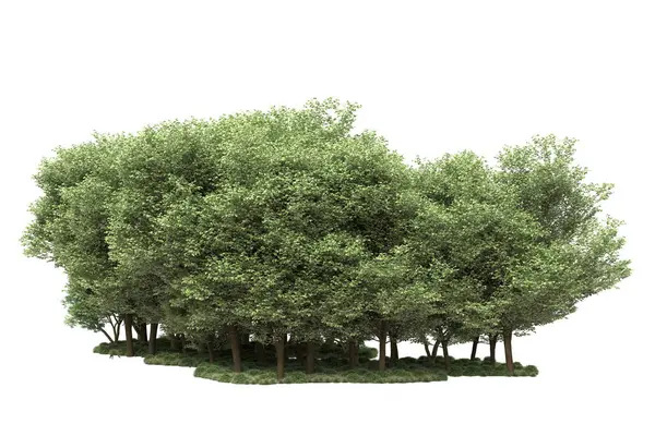 Νησί Δέντρα Απομονωμένα Λευκό Φόντο Απόδοση Εικονογράφηση — Φωτογραφία Αρχείου