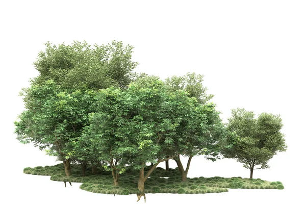 Острів Деревами Ізольовано Білому Тлі Візуалізація Ілюстрація — стокове фото