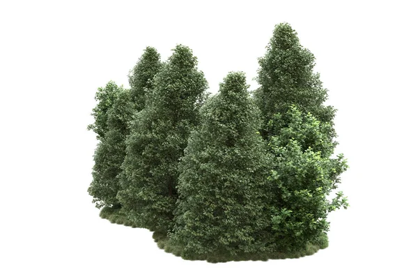 Orman ıssız. Görüntü pankartlar, posterler ya da fotoğraf manipülasyonları için kullanışlı. 3d görüntüleme - illüstrasyon