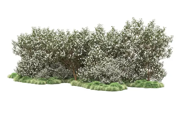 Green Trees Flowers Isolated White Background — Stock Photo, Image