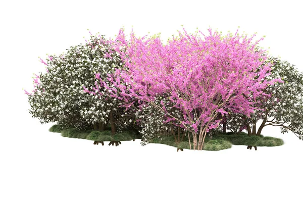 Πράσινα Δέντρα Λουλούδια Απομονωμένα Λευκό Φόντο — Φωτογραφία Αρχείου