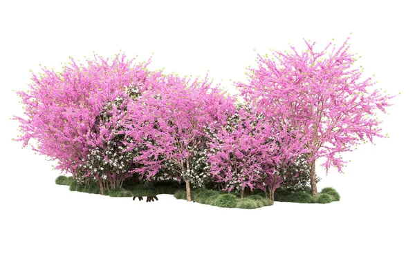 Zelené Stromy Květy Izolované Bílém Pozadí — Stock fotografie