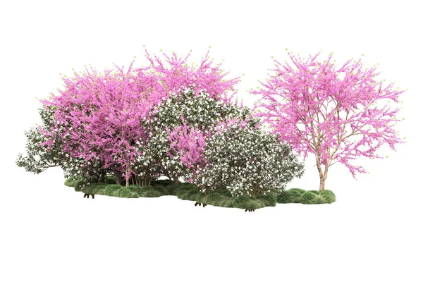 Alberi Verdi Con Fiori Isolati Sfondo Bianco — Foto Stock