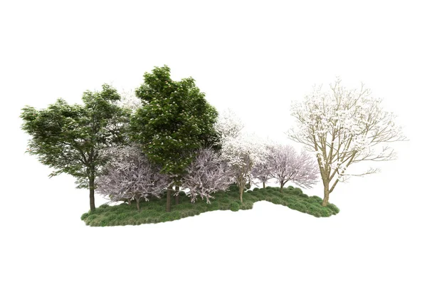 Árvores Verdes Com Flores Isoladas Fundo Branco — Fotografia de Stock