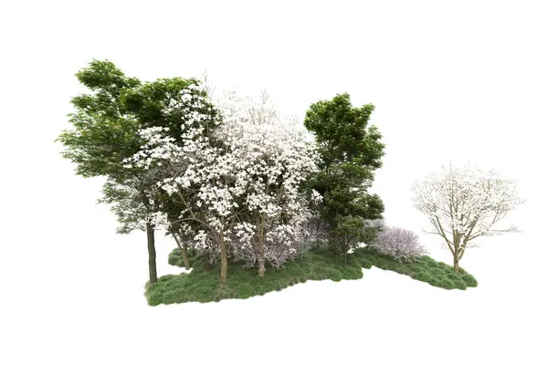 Fotokopi Alanı Için Beyaz Zemin Üzerinde Izole Edilmiş Gerçekçi Ağaçlar — Stok fotoğraf