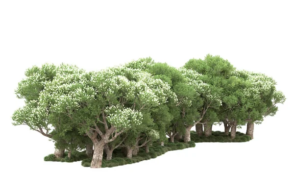 Zöld Fák Virágok Elszigetelt Fehér Háttér — Stock Fotó
