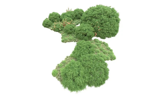 Natur Flora Koncept Realistiska Träd Isolerade Vit Bakgrund För Kopia — Stockfoto