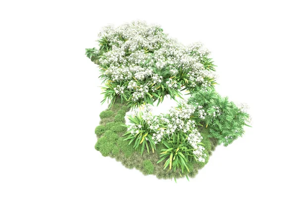 绿色植物 白色背景的花朵 — 图库照片