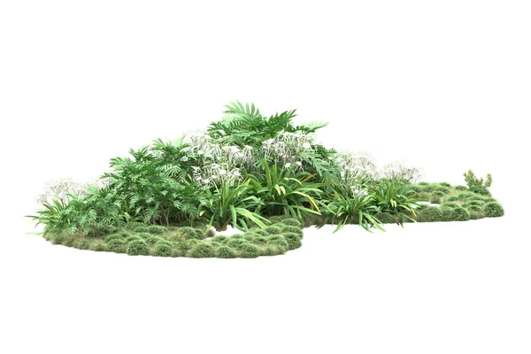 Yeşil Bitkiler Beyaz Arkaplanda Izole Çiçekler — Stok fotoğraf