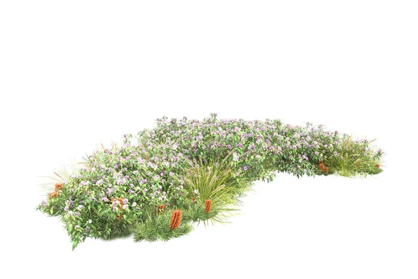 Grønne Planter Blomster Isolert Hvit Bakgrunn – stockfoto