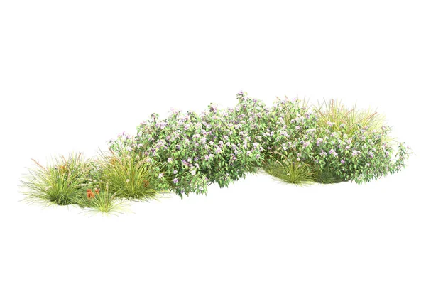 緑の植物 白い背景に隔離された花 — ストック写真