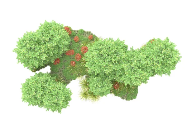 基于白背景 植物区系概念的现实林木的3D解说 — 图库照片