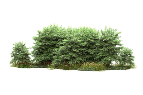Realistické Zelené Stromy Izolované Bílém Pozadí Koncept Parku Flóry — Stock fotografie