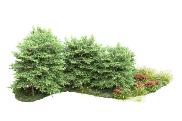 白い背景 公園のフローラの概念で隔離された現実的な緑の木 — ストック写真