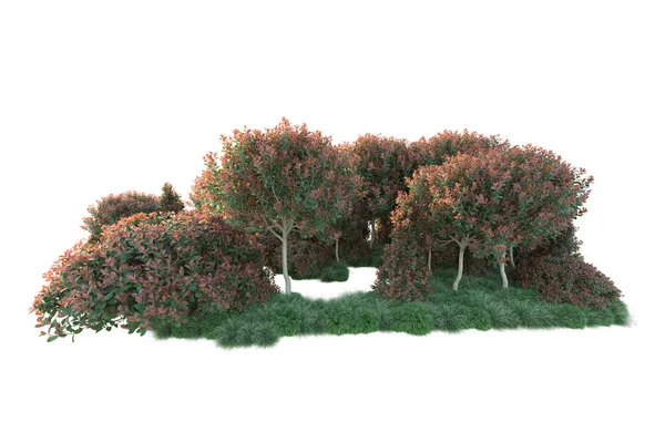 Drzewa Leśne Zielonymi Czerwonymi Liśćmi Flora Parku Odizolowana Białym Tle — Zdjęcie stockowe