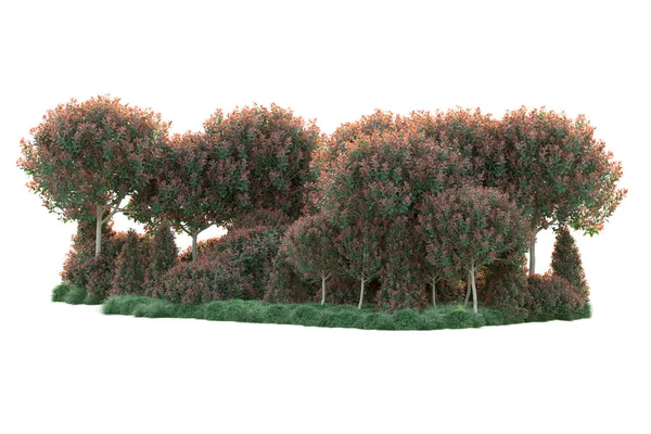 Realistische Herbstbäume Isoliert Auf Weißem Hintergrund Parkflora Konzept — Stockfoto