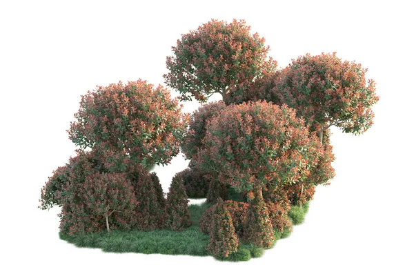 Realistyczne Jesienne Drzewa Odizolowane Białym Tle Koncepcja Flory Parku — Zdjęcie stockowe