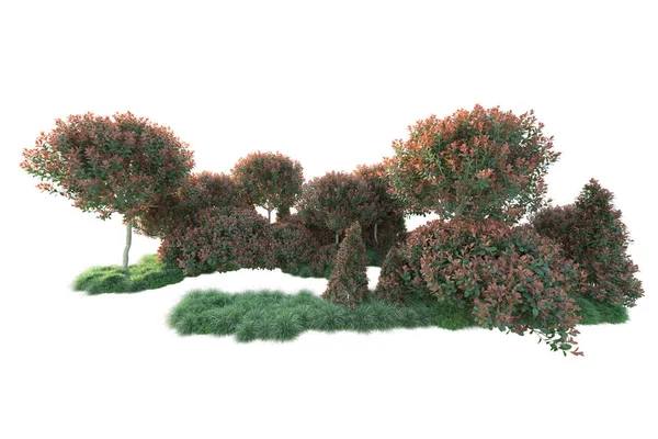 Höst Lövverk Träd Isolerade Vit Bakgrund Illustration — Stockfoto